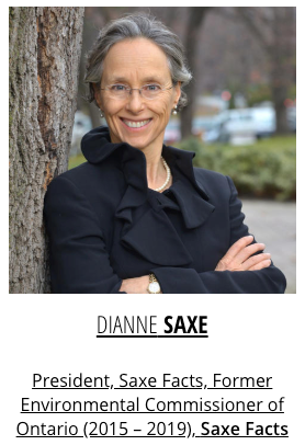 Diane Saxe