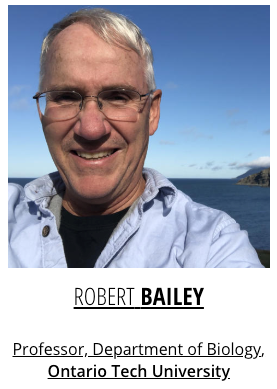 Robert Bailey