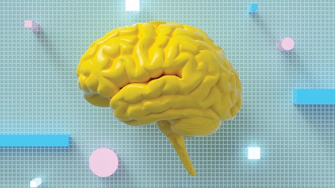 illustration of a yellow brain