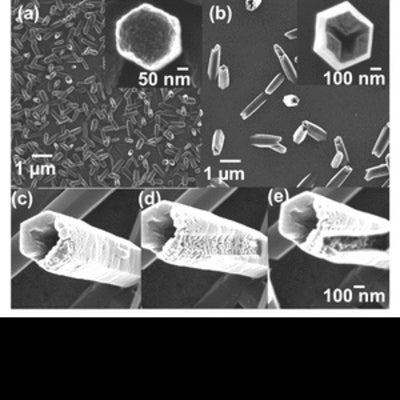 Scanning electron microscope images with size scale of honeycomb particles