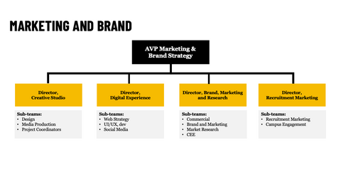 Organizational chart showing the Marketing and Brand structure. The AVP, Marketing and Brand Strategy leads four director-level areas: Director, Creative Studio; Director, Digital Experience; Director, Brand, Marketing and Research; and Director, Recruitment Marketing. The Creative Studio area includes design, media production and project coordinators. Digital Experience includes web strategy, UI/UX development and social media. Brand, Marketing and Research includes commercial, brand and marketing, market 