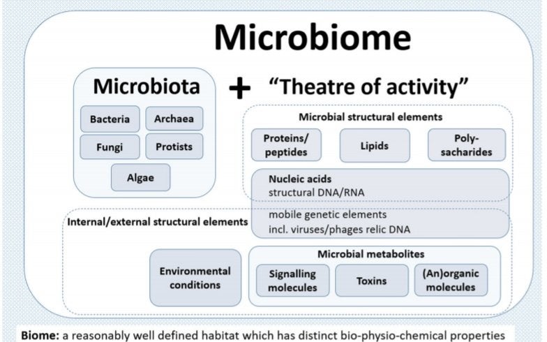 Microbiome schemata