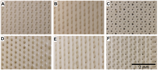 Scaffolds for Bone Tissue Engineering
