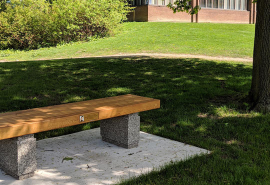 The Soltani bench outside Needles Hall