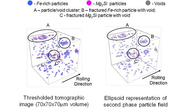 Particle clusters and as-rolled void damage extracted from 3D X-Ray tomographic image