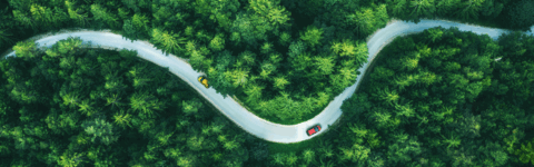 Cars driving on a curved road through green trees with animated hexagons on the top right corner