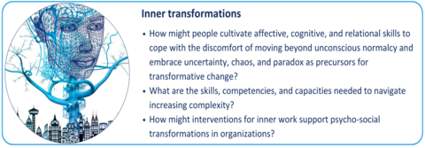 Inner Transformations Project Button