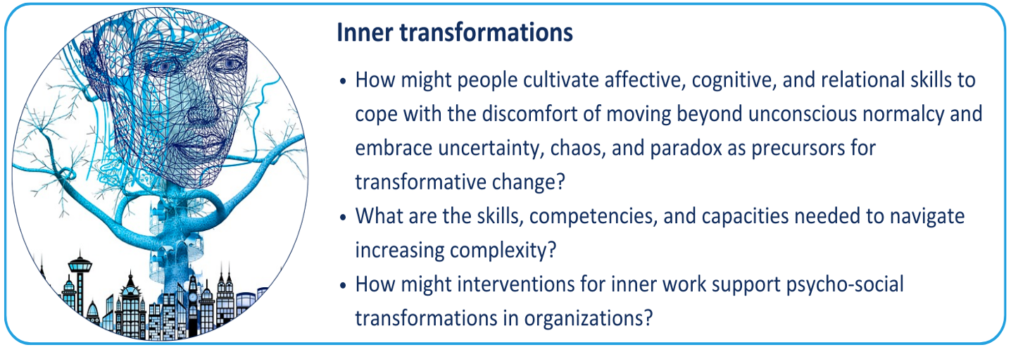 Inner transformations button