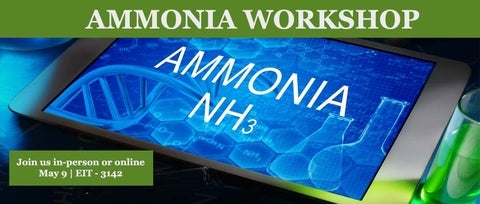 Ammonia Wokshop