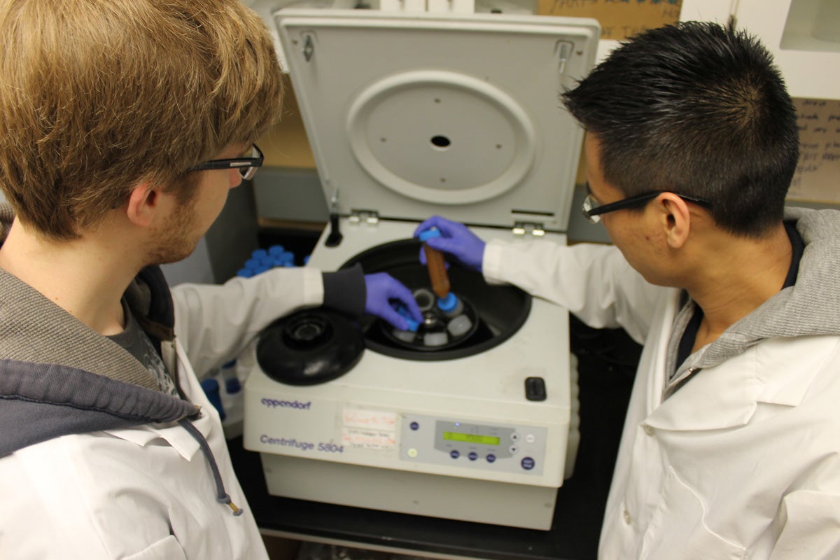 Carbon Nanomaterials Lab