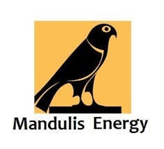 Mandulis energy logo