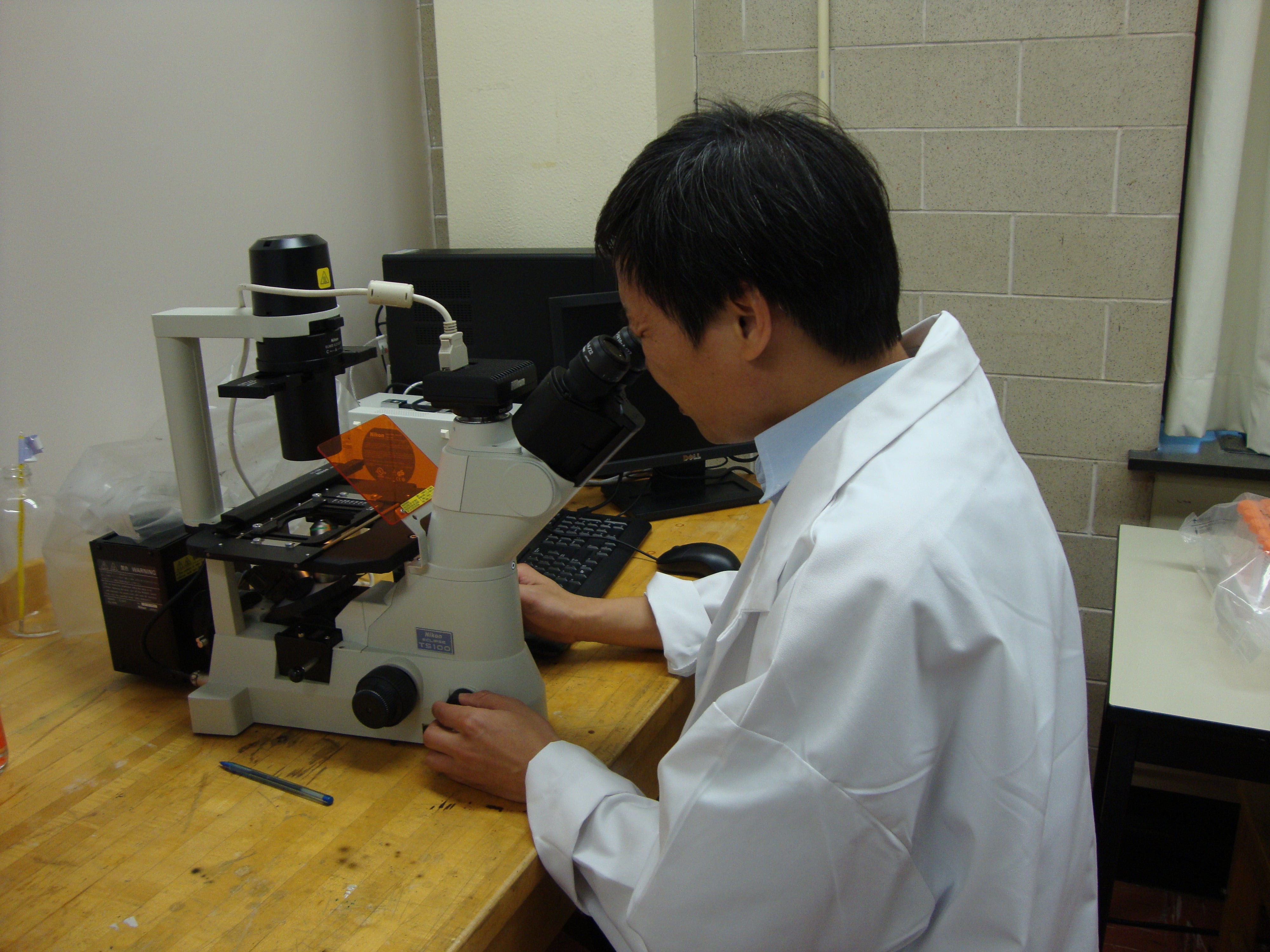 Qing Bin Lu's Lab