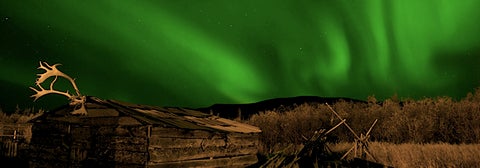 Bright green Northern Lights above log cabin with antlers