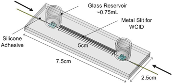 Diagram of PDMS microfluidic chip integrated with dialysis membranes.
