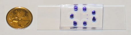 Fabricated polydimethylsiloxane (PDMS) chip