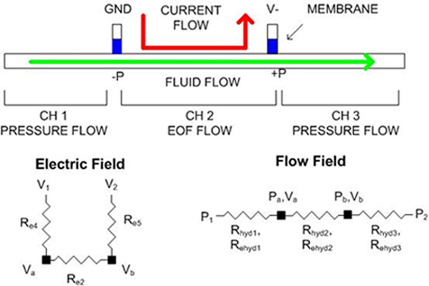 diagram of electric field, flow field, and fluid flow