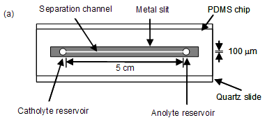 Top view of a 100 µm x 100 µm x 5 cm-channel PDMS microchip.