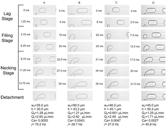 Images of the drop formation process for four experiments, broken down into lag, filling, necking stages