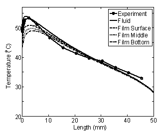 numerical temperature profiles at the top, middle and bottom of the thin film
