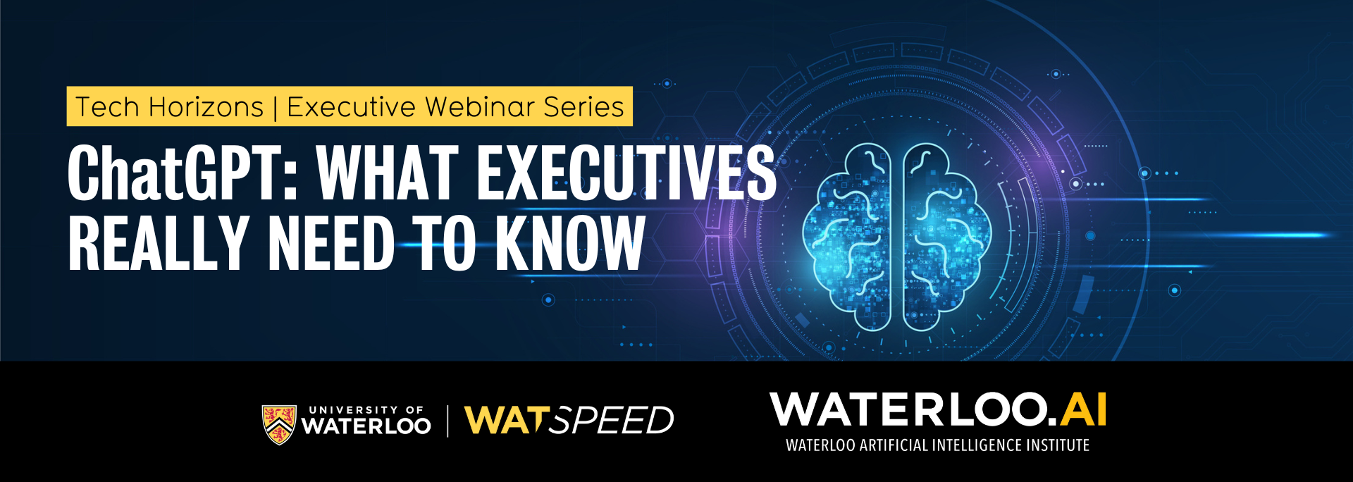  What executives really need to know Executive webinar