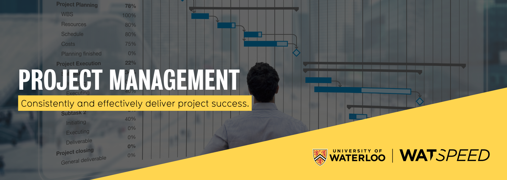 Project management - Consistently and effectively deliver project success