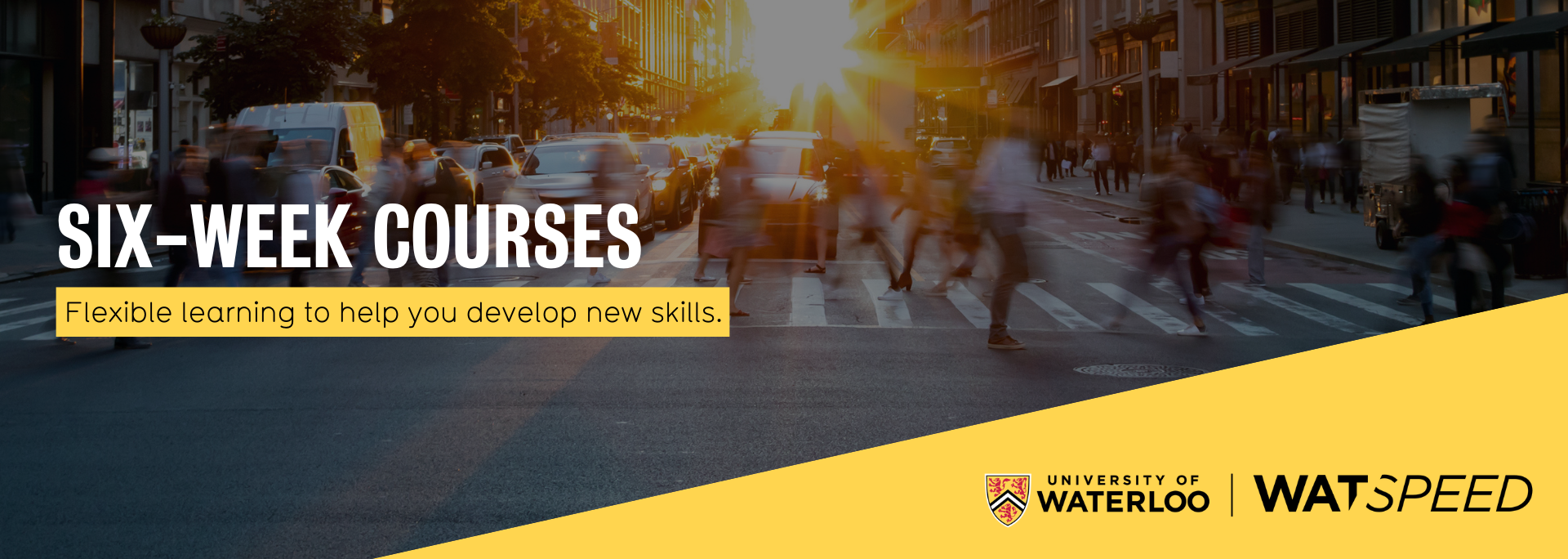 Six-week courses. Flexible learning to help you develop new skills.