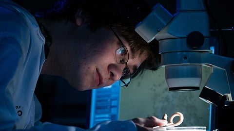 student researcher looking under microscope