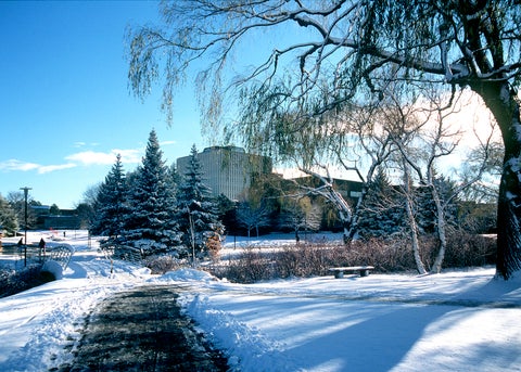 Dana Porter library in the winter