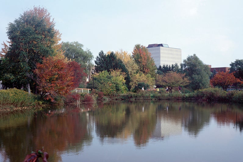 Dana Porter library in the fall