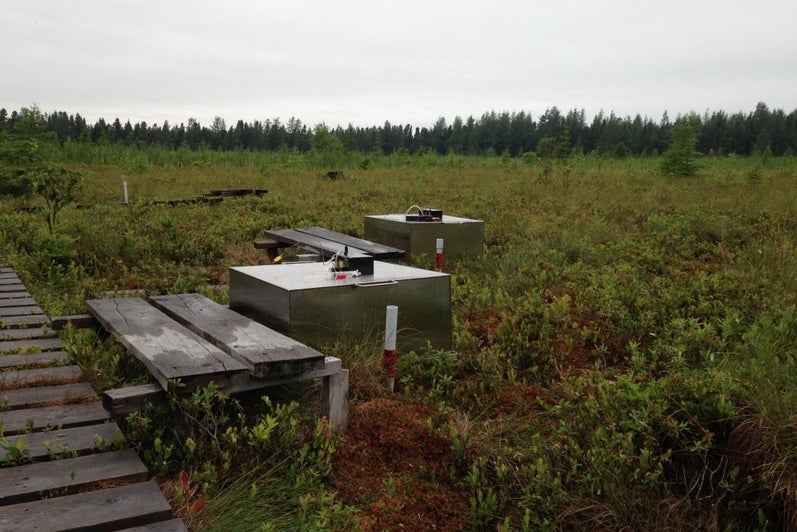 Methane flux chambers in a restored peatland.