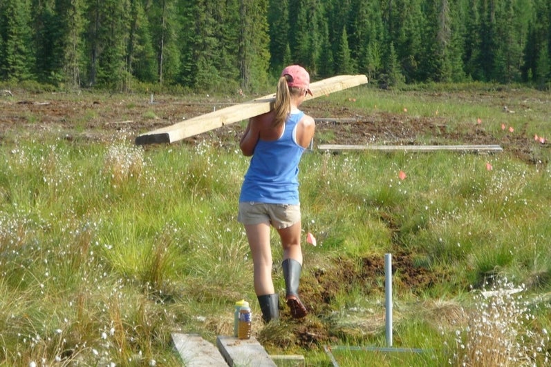 Woman carrying lumber.