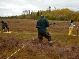 Three researchers conducting a ground-penetrating radar survey in a peatland.
