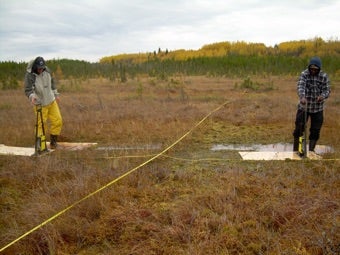 Two field researchers conduct a ground-penetrating radar survey in a peatland.
