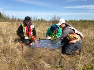 Three researchers measuring carbon dioxide flux.