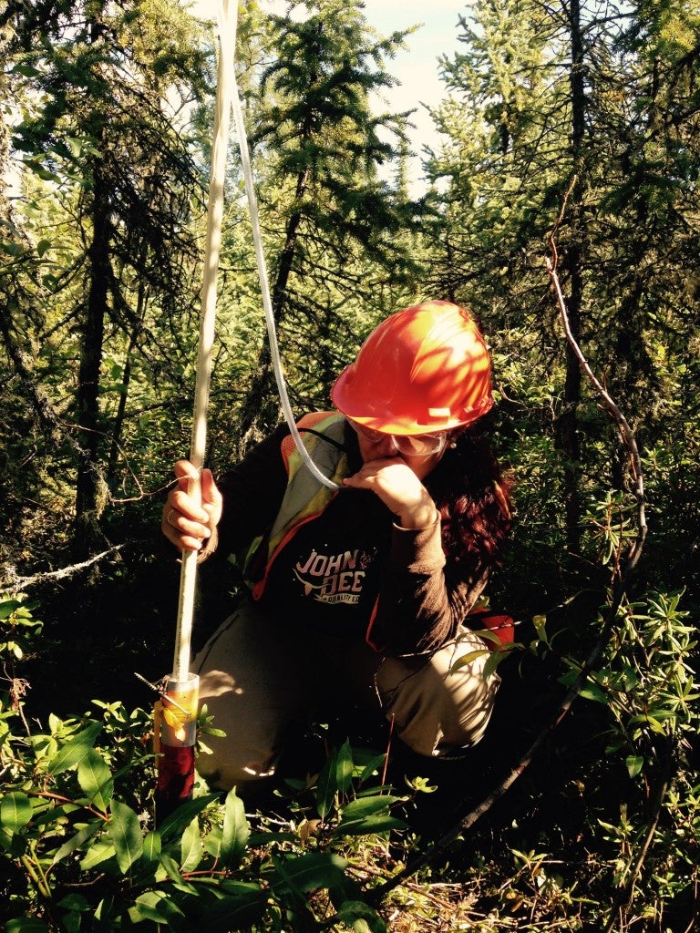 Researcher measures water table in a treed peatland.