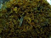 Close-up of a hummock peat sample.