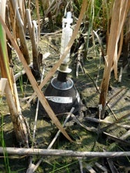An inverted funnel in a reed-filled ditch.