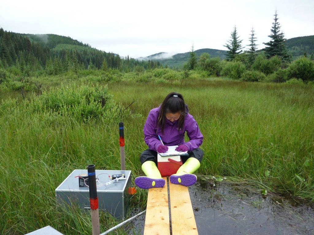 A researcher measuring methane flux in a mountain fen.