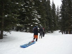 Researchers pulling a sled through a snowy forest.