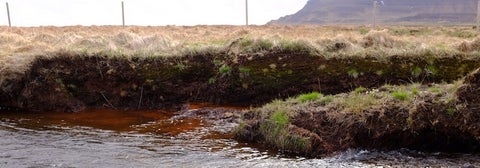 Dissolved organic carbon runoff from peatland drainage in the Snæfellsnes peninsula, Iceland