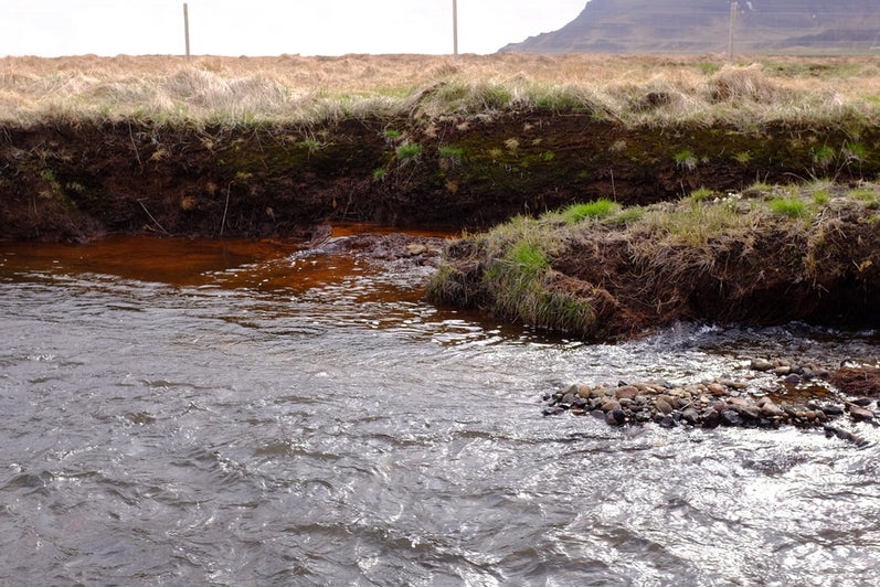  Close up peatland drainage ditch