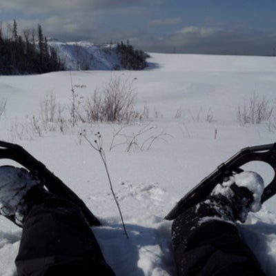 Snow shoes overlooking a constructed fen