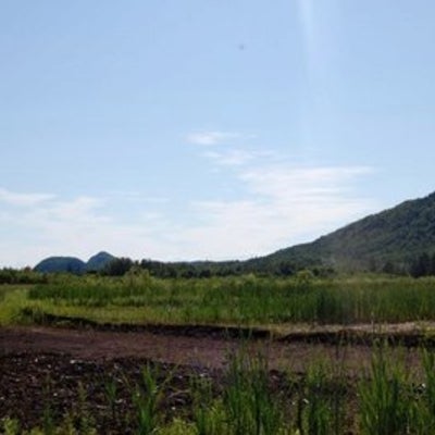 A peatland with a mountain in the background