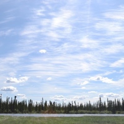  Panorama of a fen
