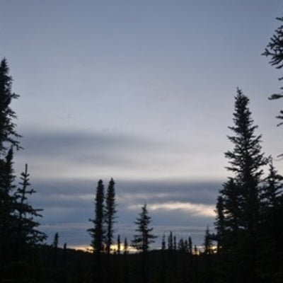  Sunset in the Boreal forest
