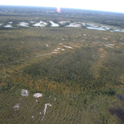  Aerial view of James Bay peatlands on approach