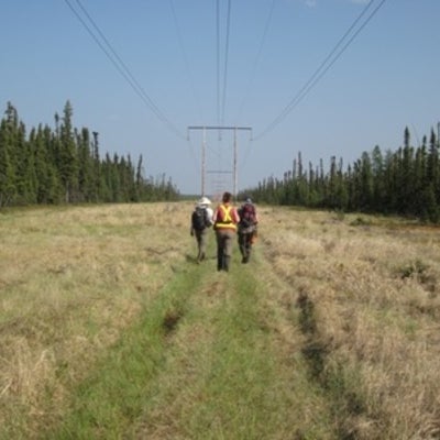  Researchers walking down a cutline