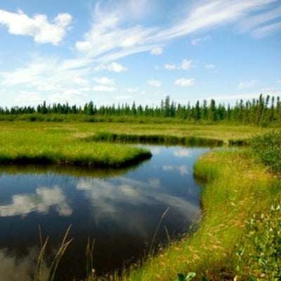  Pond and vegetation at Saline fen