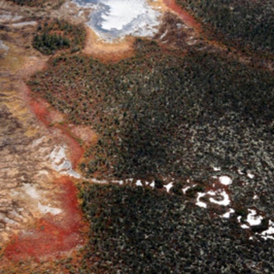  Peatlands viewed from the helicopter