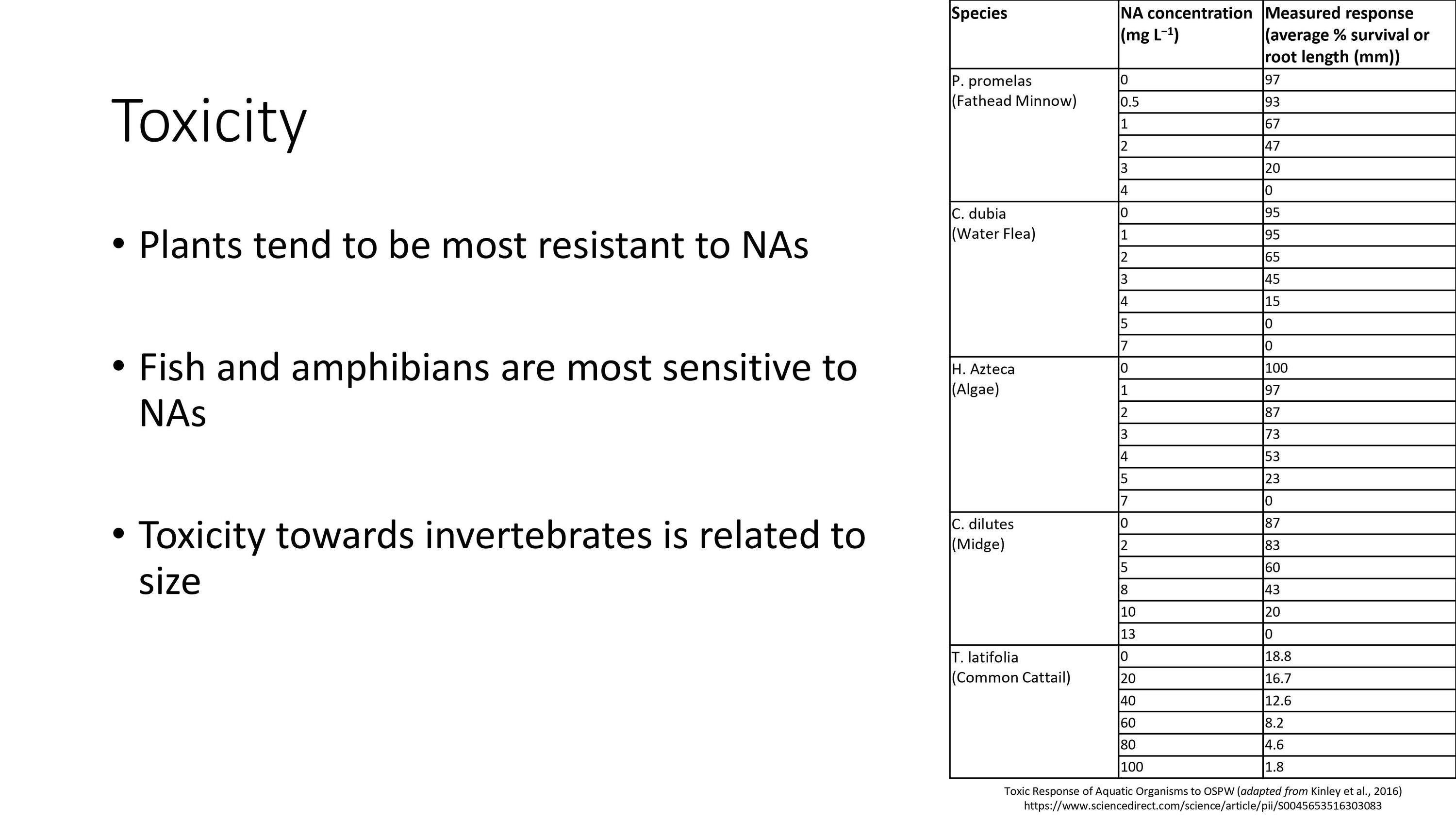Page 12 of Naphthenic Acid Overview Presentation